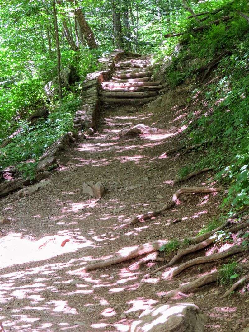 Dark Hollow Falls Trail