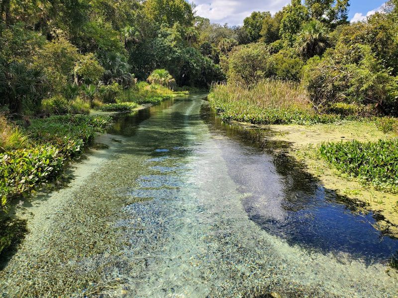 The Best Time Of Year To Visit Kelly Park
