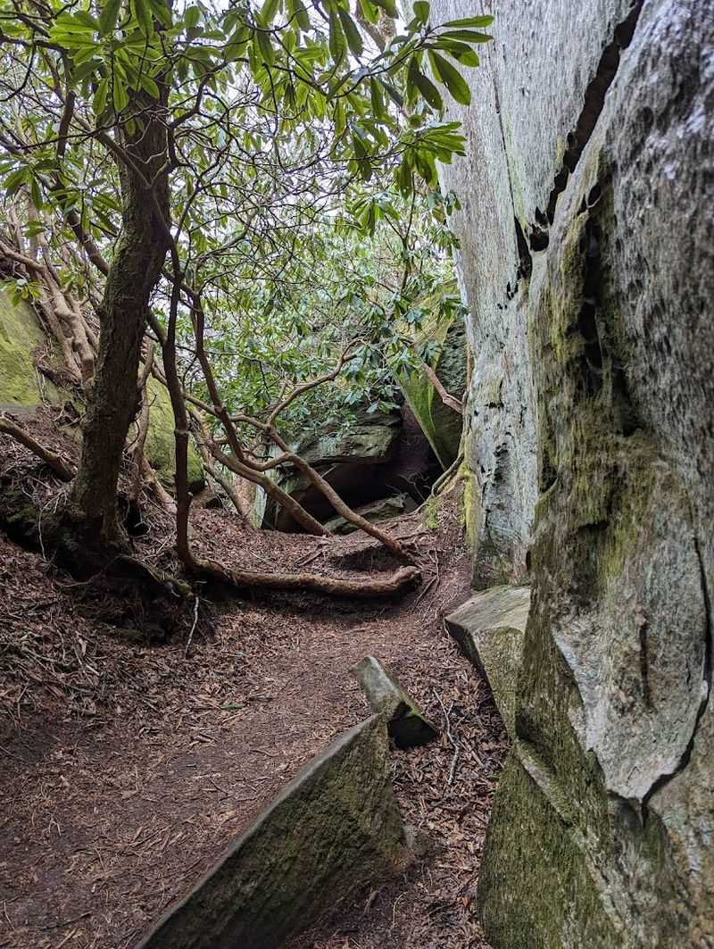 Walking Between Towering Rock Walls