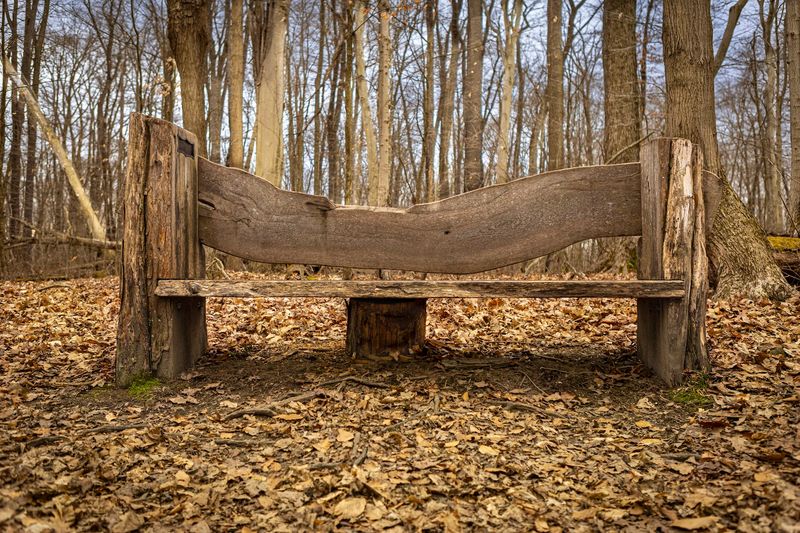 A Better Kind of Solitude Than Busy Parks Offer
