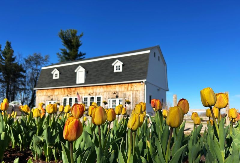 Northern Farm & Flowers