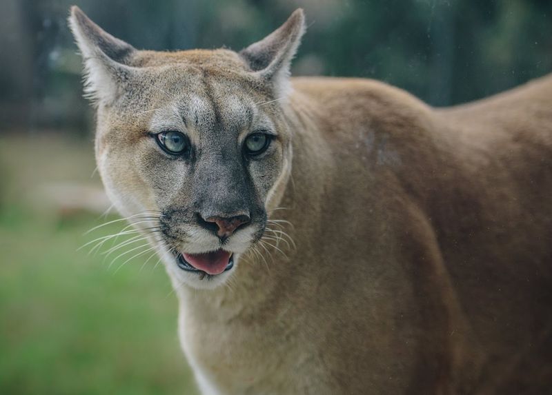 Oatland Island Wildlife Center - Savannah, Chatham County