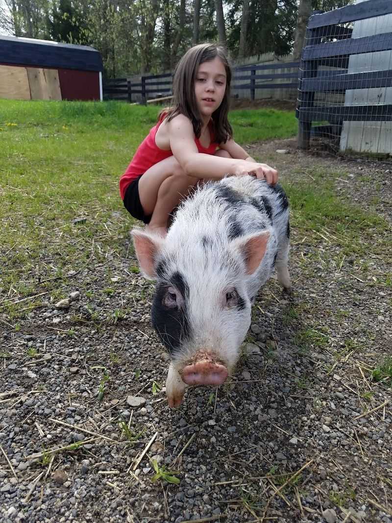 Old Acres Farm (Northfield)