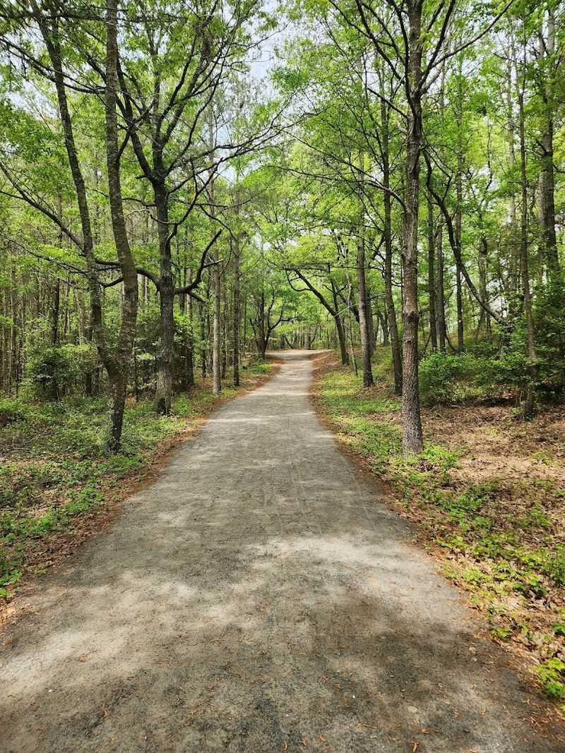 Swan Cove Trail Adventure