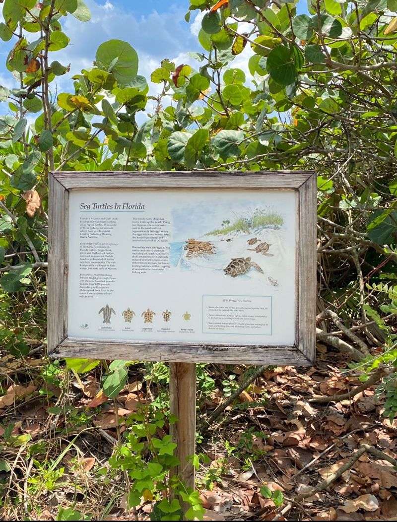 Education Center And Conservation Story