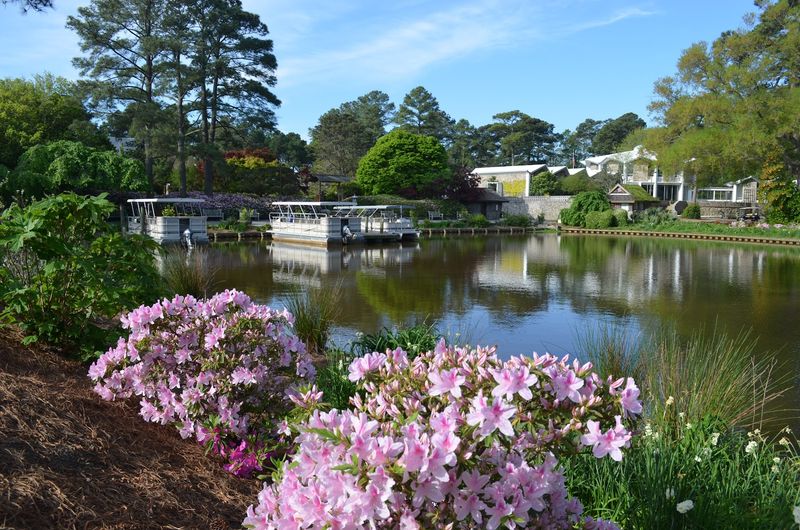 Norfolk Botanical Garden (Norfolk)