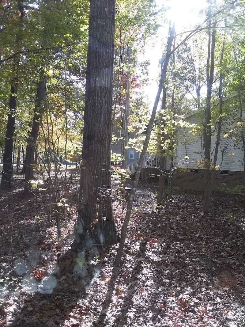 Mineral Springs - Mineral Springs
