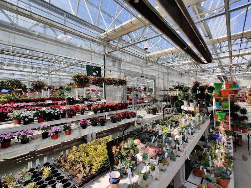 White Oak Garden Center