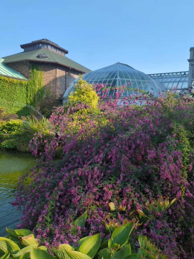 Anna Scripps Whitcomb Conservatory (Detroit – Belle Isle)