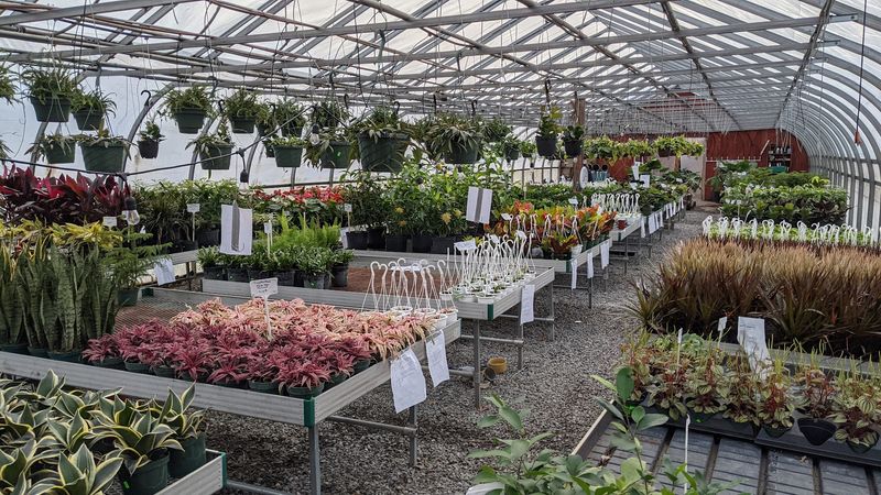 The Gardeners&rsquo; Spot
