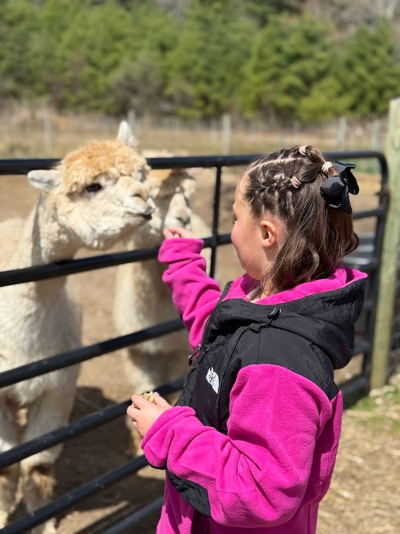 Pine Meadow Farm (Mattapoisett)