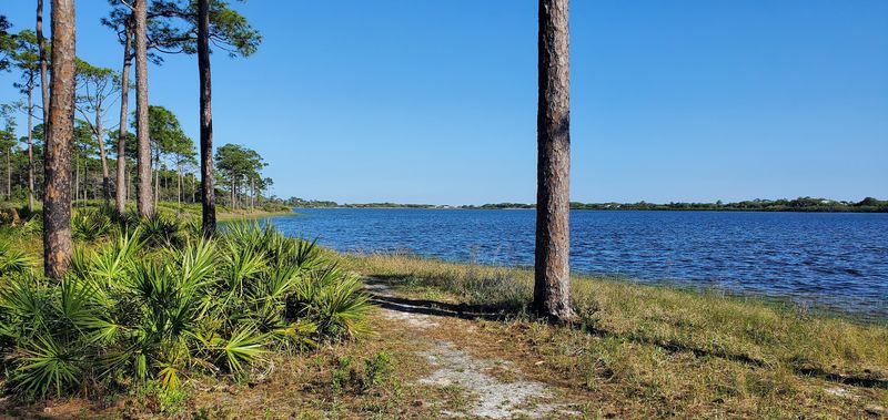Topsail Hill Preserve State Park (Santa Rosa Beach)