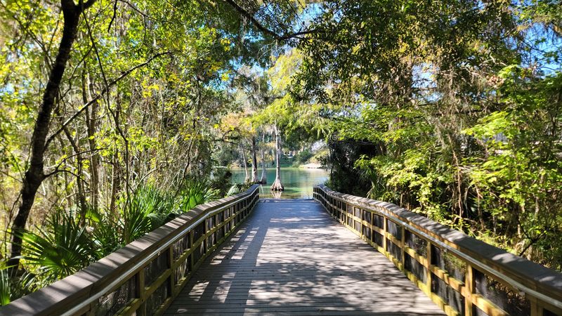 Blue Run of Dunnellon Park 