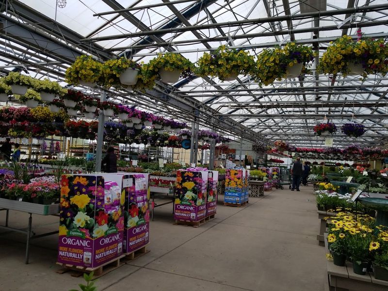 Ray Wiegand's Nursery, Macomb, Macomb County,