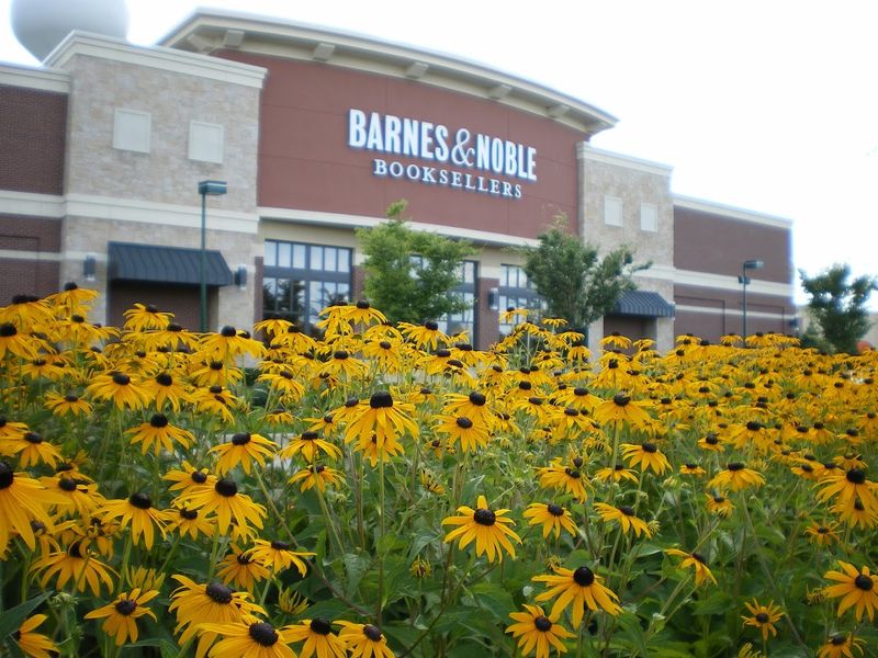 The Mall at Green Oak Village Place &mdash; Brighton