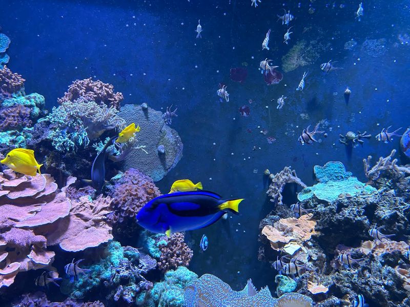 Pittsburgh Zoo & Aquarium 