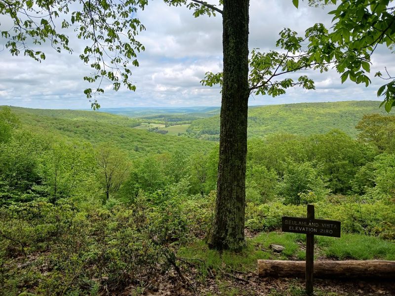 Golden Eagle Trail
