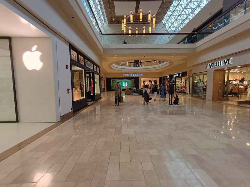 The Shops at Chestnut Hill