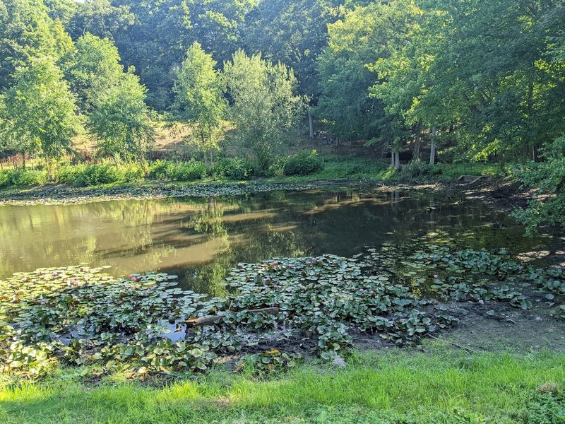 Allandale Farm