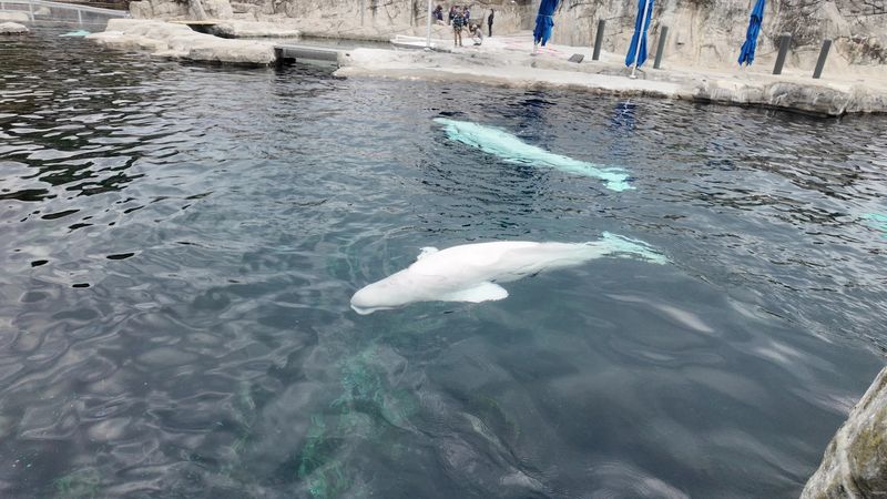 Mystic Aquarium