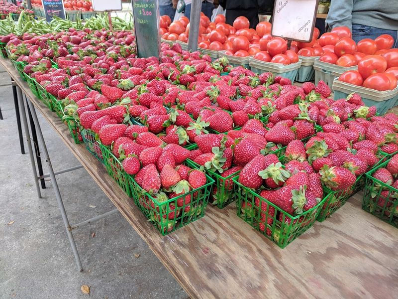 Winter Park Farmers&rsquo; Market &ndash; Winter Park