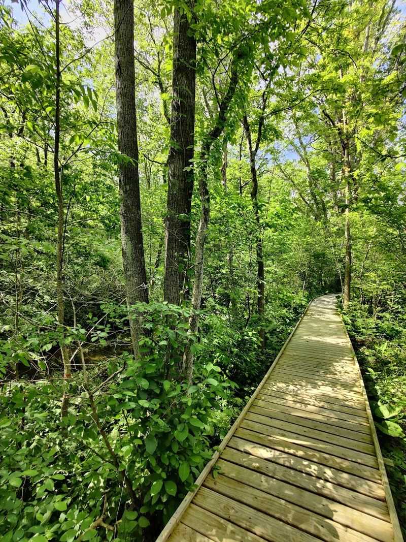 Cedar Bog Springs - Urbana