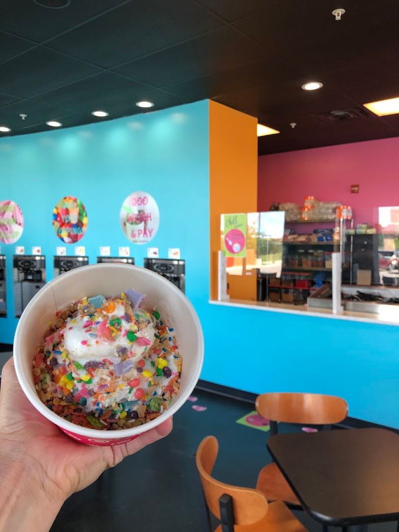 Snickerdoodlz Frozen Yogurt, Petoskey