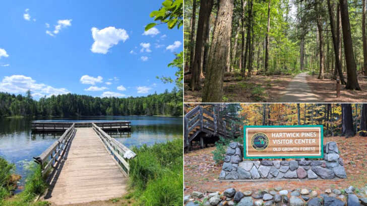 You&rsquo;ll Think You&rsquo;ve Stepped Into A Fairytale In This Magical Michigan State Park