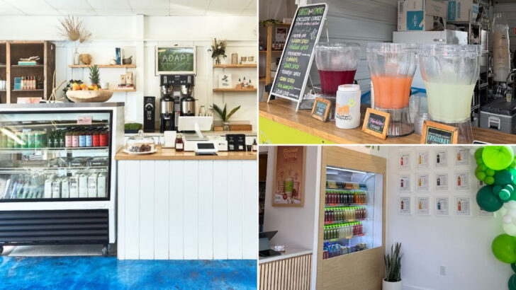 You’ll Want To Bookmark These 14 North Carolina Lemonade-And-Drink Stops Fast