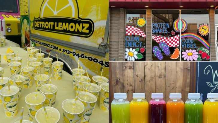 You’ll Want To Stop At These 13 Michigan Lemonade-And-Drink Gems Every Time