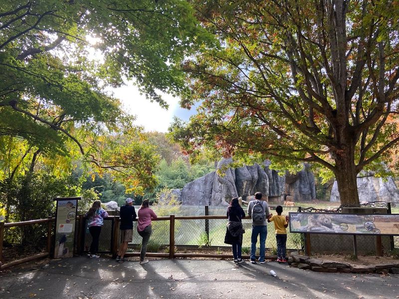 North Carolina Zoo - Asheboro, Randolph County