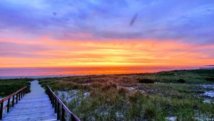 10 Affordable Massachusetts Date Ideas That Are Big On Charm And Low On Cost