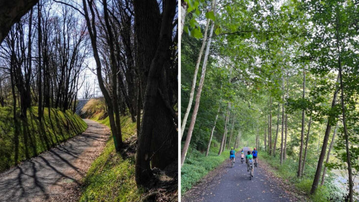 10 Beginner-Friendly Bike Trails In Pennsylvania That Anyone Can Ride
