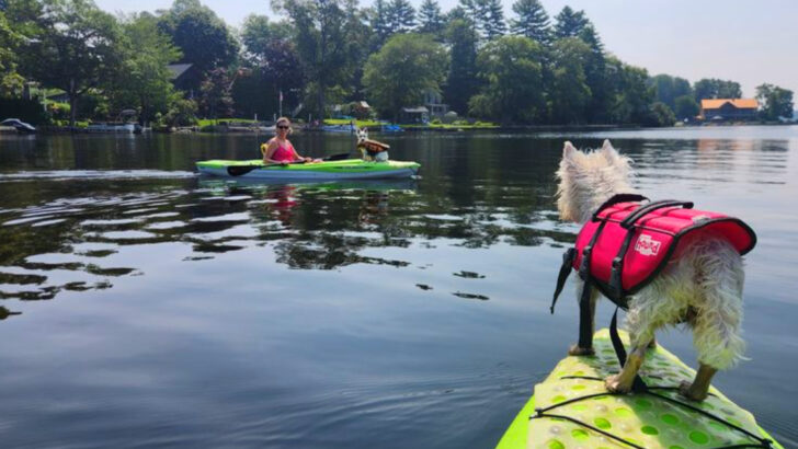 10 Connecticut Canoeing Trips Perfect For A Peaceful Summer Escape