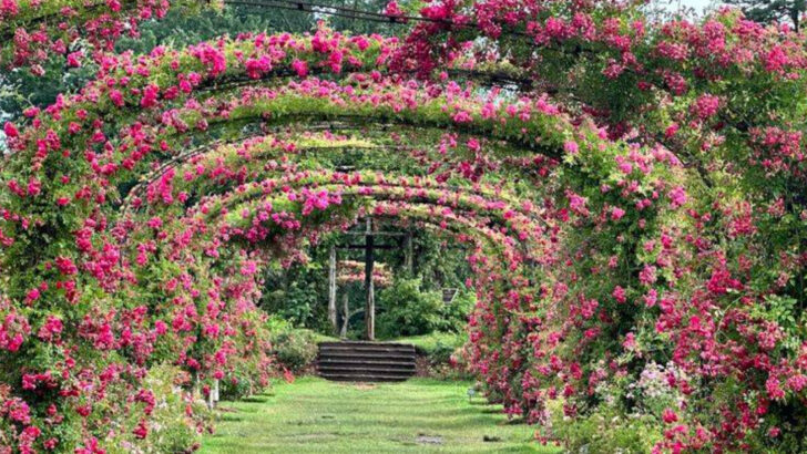 10 Connecticut Date Ideas That Deliver More Romance For Less Money