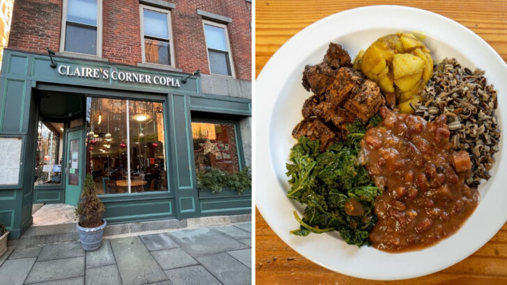 10 Connecticut Vegan And Vegetarian Restaurants Worth Visiting This Year