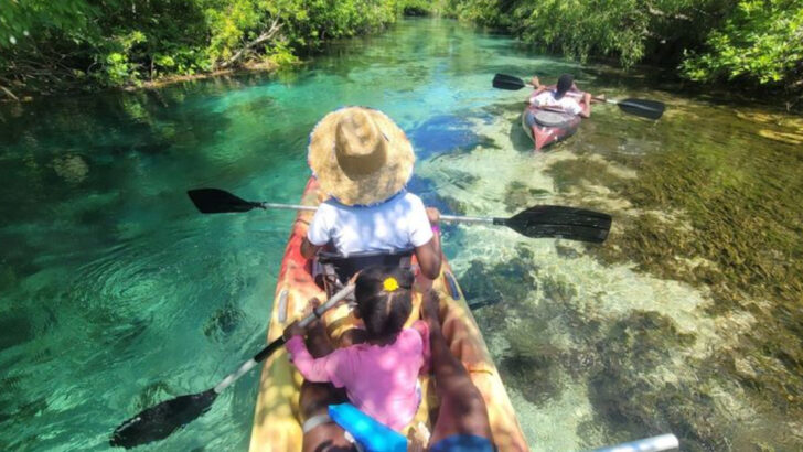 10 Florida Canoeing Adventures Through Crystal-Clear Springs And Wild Waterways