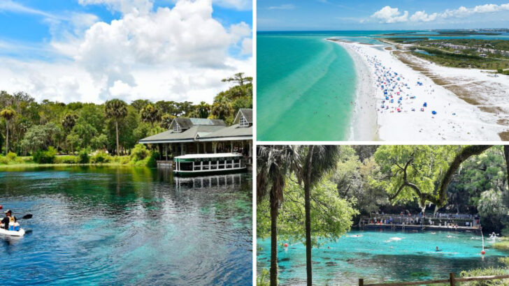 10 Florida Water Adventures That Feel Expensive But Cost Very Little