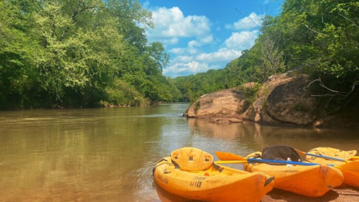 10 Georgia Canoeing Spots Where Every Bend Reveals Something Beautiful