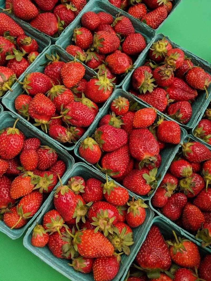 Peachtree Road Farmers Market - Atlanta, GA