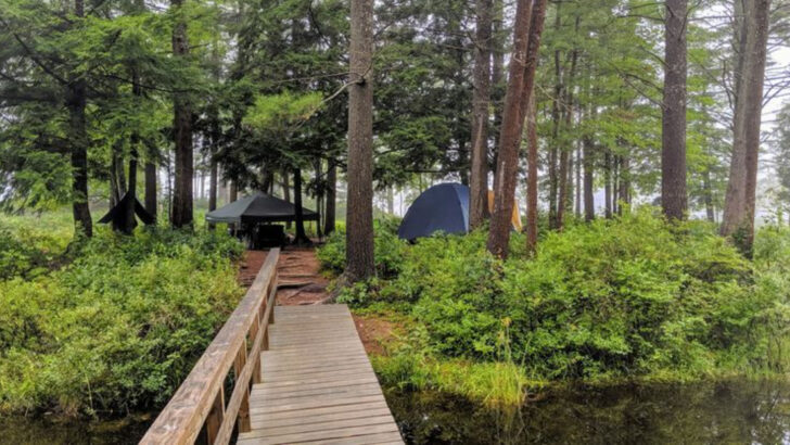 10 Massachusetts Campgrounds That Make It Easy To Disconnect And Recharge