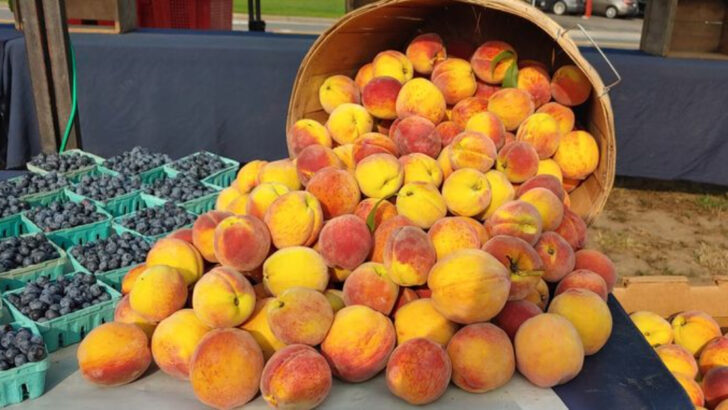 10 Massachusetts Markets Serving The Freshest Fruit Straight From The Farm