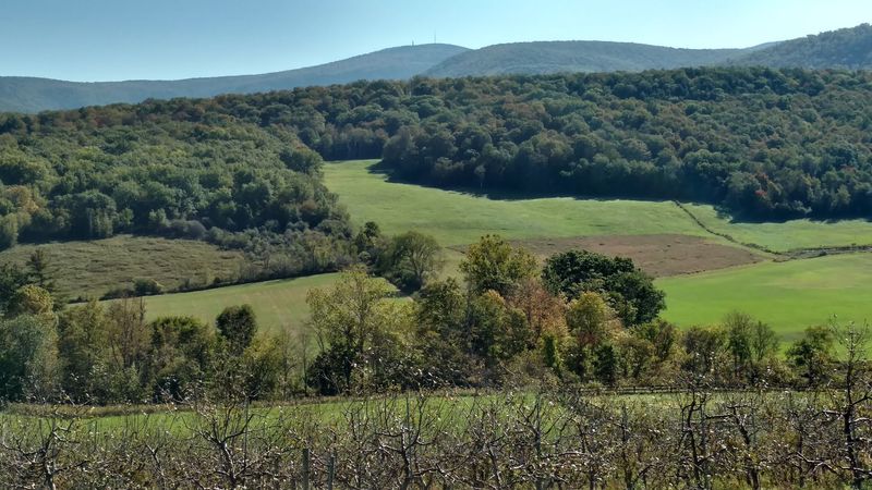 Mohawk Trail (Route 2) - Williamstown to Greenfield