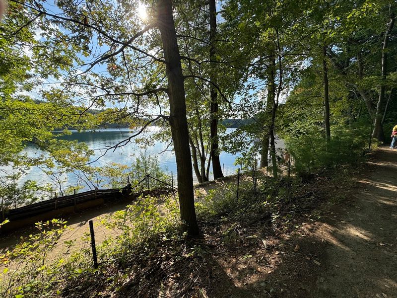 Walden Pond State Reservation - Concord, Middlesex County