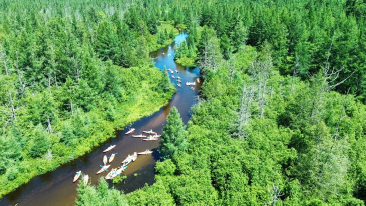 10 Michigan Canoeing Trips Through Some Of America’s Most Beautiful Waterways