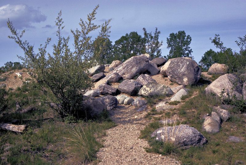 Fox Science Preserve