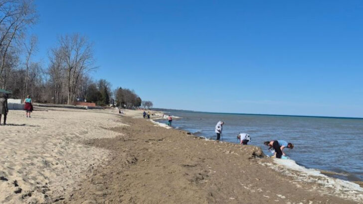 10 Michigan Fossil Sites Where History Lies Beneath Your Feet