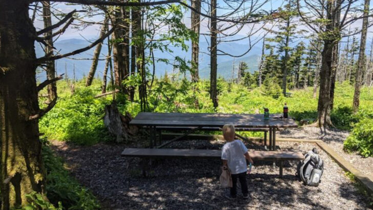10 North Carolina Campgrounds With Views You&rsquo;ll Never Forget