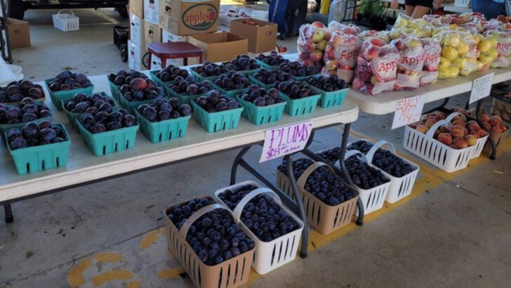 10 North Carolina Markets For The Freshest Local Fruit Of The Season