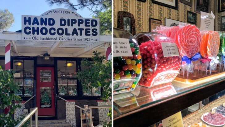 10 Nostalgic Candy Stores Across California That Bring Back Childhood Memories